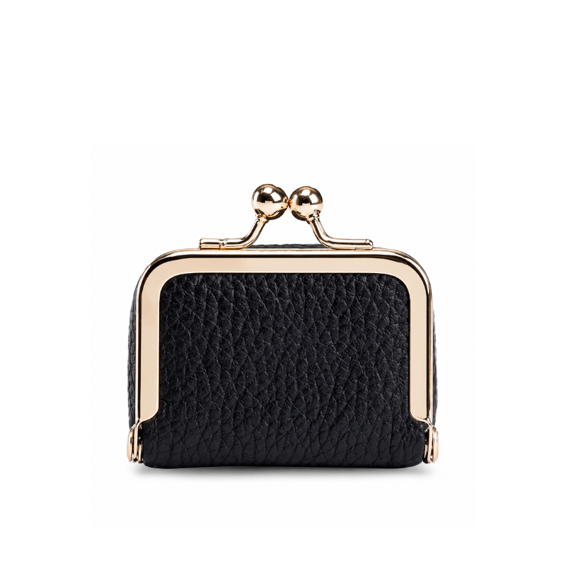 Mini Clasp Storage Women’s Mini Bag